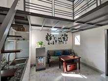Hình ảnh cho thuê phòng tại Trương Công Định,tân bình -GIÁ RẺ BẤT NGỜ