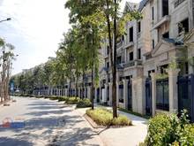 Hình ảnh Bán biệt thự Ciputra - khu K7, Tây Hồ, Hà Nội