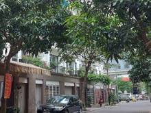 Hình ảnh Bán nhà MỖ LAO MT 5m, 60m2, phân lô, ô tô , kinh doanh. CHỈ 6 TỶ 950
