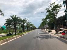 Hình ảnh Bán gấp mảnh 96,3m đấu giá Tầm Dâu mặt 3 làn đường nhựa, view hồ điều