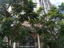 Hình ảnh Cho thuê biệt thự tại khu 214 Nguyễn Xiển, DT 170m2, XD 120m2 * 5,5T