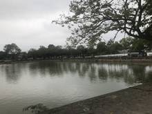 Hình ảnh Bán đất tổ 11 Phúc Lợi view hồ Sen thoáng mát quanh năm.