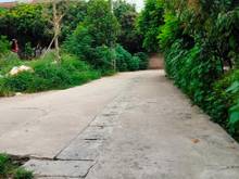 Hình ảnh 💥Chính chủ nhờ thanh khoản hộ lô đất nền siêu đẹp