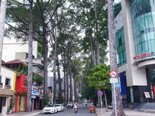 Hình ảnh SIÊU BUILDING khu vực Nguyễn Đình Chiểu - Quận 3 với Giá 150 Tỷ đồng,