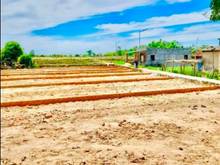 Hình ảnh đát chính chủ giá rẻ Trang MB66.COM Chính Thức - MB 66 Uy Tín,gần ngã ba Hoà Tiến,đã có sổ