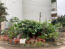 Hình ảnh Bán đất tổ 11 Phúc Lợi, lô góc, sát ngay Rubycity, giá bán vội