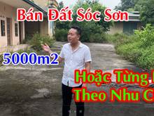 Hình ảnh Chính Chủ Bán Đất SÓC SƠN Cả 5000m2 hoặc Mua Từng Lô Theo Nhu Cầu