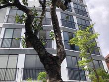 Hình ảnh Cần bán nhà số 80 Võ Văn Tần, Phường 5, Quận 3, Tp HCM.