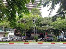 Hình ảnh Chính chủ cần bán gấp khuôn đất đẹp ngay khu sân bay tân bình , 85 Tỷ