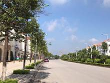 Hình ảnh Shophouse mặt đường chính 39m Nam An Khánh , chỉ 17,9 tỷ Thương lượng