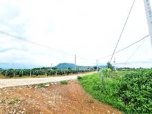 Hình ảnh BÁN ĐẤT ĐƯỜNG 10M - 1175M, KCN SƠN MỸ, 2.4 TỶ, Hàm Tân, Bình Thuận