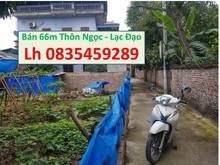 Hình ảnh Bán đất Lạc Đạo, DT 67m2, Đất đẹp, cách đường trục liên huyện chỉ 100m