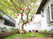 Hình ảnh Bán biệt thự siêu sang - Thông số vàng  10X25M . Phước Kiển . Nhà Bè