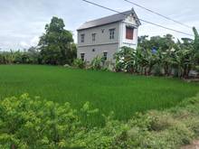 Hình ảnh Bán đất quảng long quảng xương