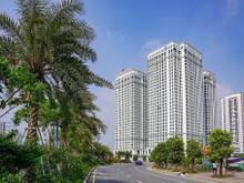 Hình ảnh Nhanh còn kịp, nhà Phú Thượng 37m, 5 tầng lô góc, dân xây
