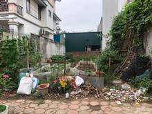 Hình ảnh Ông chú cần bán gấp 100m đất đấu giá 31ha Trâu Quỳ, Gia Lâm: