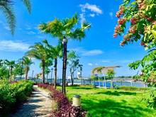 Hình ảnh Nhà phố liền kề view sông Vàm Cỏ, The Pearl Riverside