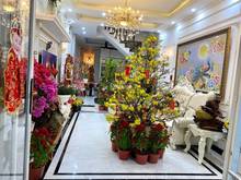 Hình ảnh Biệt thự 102 Bình Long (8mx25m)