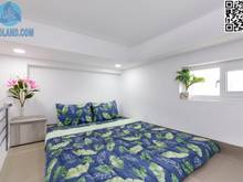 Hình ảnh 🌿✨Gác Lửng Vùng Xanh Quận 10, Gần ĐH Bách Khoa, Lý Thường Kiệt