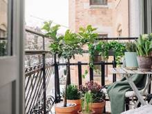 Hình ảnh 🌻Bán nhà 1 trệt 1 lầu đường Bạch Đằng, trung tâm Bình Thạnh gần chợ