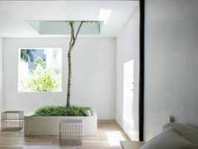Hình ảnh tòa nhà thu nhập 220 triệu/tháng MT Thảo Điền Quận 2, DT 12x26m hầm 6T