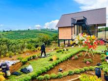 Hình ảnh Ông anh kẹt tiền bán gấp nền biệt thự view đồi tuyệt đẹp, thơ mộng