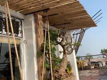 Hình ảnh PENTHOUSE đẳng cấp Hà Đông - không gian sống đỉnh cao.