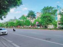 Hình ảnh Bán nhà mặt phố Ngô Gia Tự 40m2, kinh doanh đỉnh, chỉ 6 tỷ