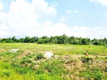 Hình ảnh HOT – ĐẤT MT 1390M, 1.9 TỶ,Tân Hà, Hàm Tân, Bình Thuận