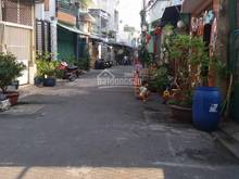 Hình ảnh Bán nhà hẻm 8m Lương Thế Vinh, P. TTH, Q. Tân Phú