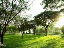 Hình ảnh Bán Trang Chủ MB66.COM / Đăng Ký Tặng 66K Riverpark Residence, Phú Mỹ Hưng, Quận 7