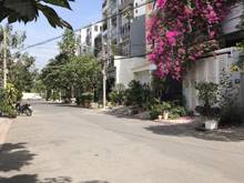 Hình ảnh Bán nhà KDC Tân Thuận Nam Phú Thuận, Q7, DT 4 x 20m