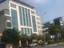 Hình ảnh Bán gấp tòa nhà văn phòng TT Cầu Giấy, 184m2, 8T, MT 11m, 69 tỷ.