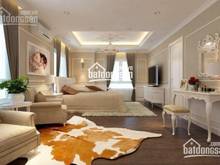 Hình ảnh Bán Sunrise City, City View 1-2-3-4PN penhouuse 3PN full nội thất