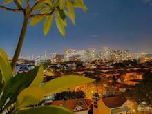 Hình ảnh Bán Penthouse Mỹ Phúc sở hữu vị trí đắc địa ngay PMH: 191m2
