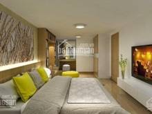 Hình ảnh Cần bán Penthouse Mỹ Phúc, DT 203m2