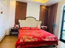 Hình ảnh Chuyển nhượng Biệt Thự LK 3 mặt thoáng Vinhome imperia