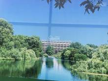 Hình ảnh Bán gấp 1 nền view trực diện sông