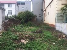 Hình ảnh Bán 76,8m mặt Hồ Đầm Tranh Cự Khối cực mát mẻ, ô tô đỗ cửa xuyên ngày