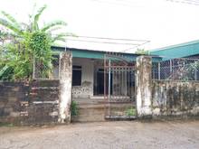 Hình ảnh TP.Vinh chỉ hơn 1 tỷ bạn có đất kèm nhà cấp 4, sân rộng đậu 2 oto