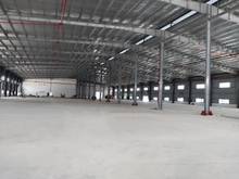 Hình ảnh Cho thuê nhà xưởng 2500m2 Tân Hòa Đông, Bình Trị Đông, Bình Tân