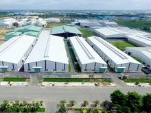 Hình ảnh Cho thuê kho xưởng 9000m2 trong KCN Tân Tạo, quận Bình Tân