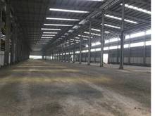 Hình ảnh Cho thuê gấp kho xưởng 10.000m2 ở Phan Văn Hớn, Tân Thới Nhất, Q.12