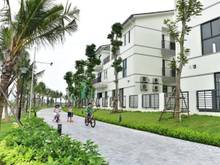 Hình ảnh Liền kề Nam An Khánh Sudico - Vista Lago, 210m chỉ 16,9 tỷ TL
