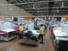 Hình ảnh Cho thuê kho xưởng 4000m2 tiền Lê Lợi, P.4, Gò vấp, thích hợp may mặc