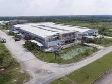 Hình ảnh Cần bán gấp nhà Xưởng 10.000m2 Khu Công Nghiệp Vĩnh Lộc, Bình Tân