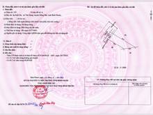 Hình ảnh Bán gấp 2 lô đất 1000m2 thổ cư 100m đường to 28m , bề ngang 38m và 17m