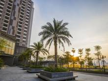 Hình ảnh Quỹ Căn Duplex Penthouse Udic Westlake Nóng Hổi