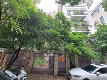Hình ảnh Cực Hiếm, Bán BT Nguyễn Thị Định Cầu Giấy, 240m2, MT 16m, nhỉnh 60 tỷ.
