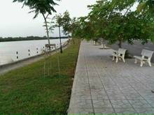 Hình ảnh cần bán đất cho con ăn học đường Tam Đa , Quận 9